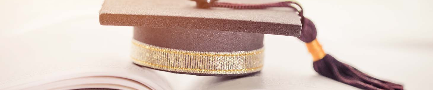 Formations diplomantes